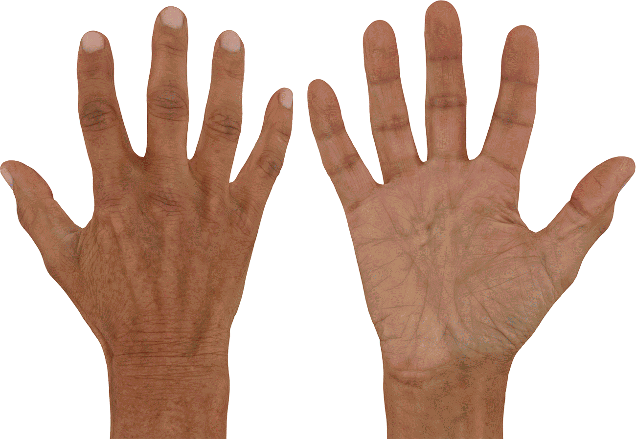 Hand Texture maps